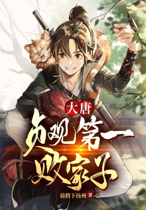 大唐:贞观第一败家子在线阅读