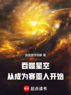 吞噬星空：从成为赛亚人开始！在线阅读