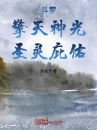 斗罗:擎天神光,圣灵庇佑在线阅读