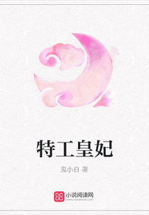 特工皇妃