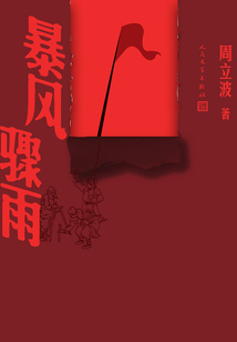 暴風驟雨