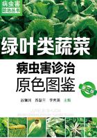 绿叶类蔬菜病虫害诊治原色图鉴（第二版）