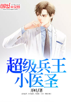 超級兵王小醫圣在線閱讀