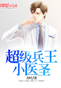 超級兵王小醫圣