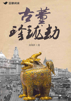 古董珍珑劫在线阅读