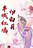半城紅墻印白月在線閱讀
