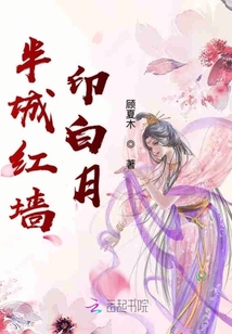 半城紅墻印白月