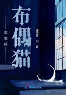 重生成布偶貓