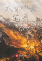 大宋風云筆錄在線閱讀