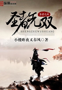 圣者無雙