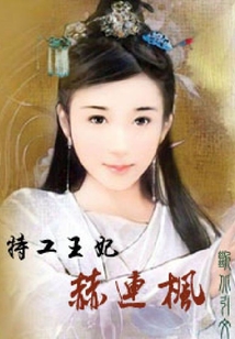 特工王妃之赫連楓