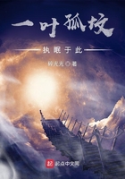 一葉孤墳執眠于此在線閱讀