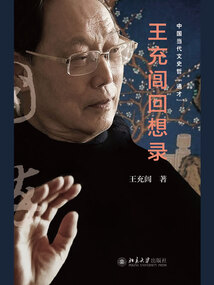 王充閭回想錄