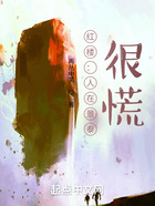 紅樓：人在景泰，很慌！在線閱讀