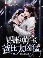 四胎萌宝,爸比太凶猛!在线阅读