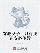 穿越圣子，只有我在安心傳教在線閱讀