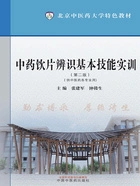 中药饮片辨识基本技能实训:第二版(北京中医药大学特色教材)在线阅读