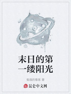 末日的第一缕阳光在线阅读