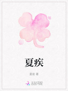 夏疾在线阅读