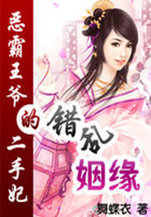 错乱姻缘:恶霸王爷的二手妃