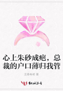心上朱砂成疤,总裁的户口薄归我管