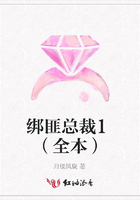 綁匪總裁1（全本）在線閱讀