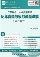 广东省会计从业资格考试历年真题与模拟试题详解（三科合一）