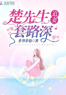 楚先生追妻套路深