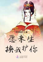 愿來生換我護你在線閱讀