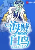 海贼之正义白鸟
