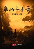 乘风上青云在线阅读