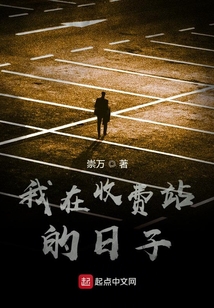 我在收費站的日子