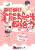 一胎三宝:全能妈咪超给力在线阅读