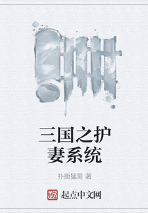 三國之護妻系統