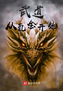 武道从氪金开始