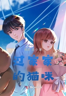 過家家的貓咪