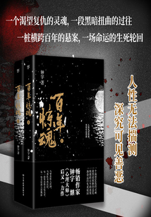 百年惊魂(全集)
