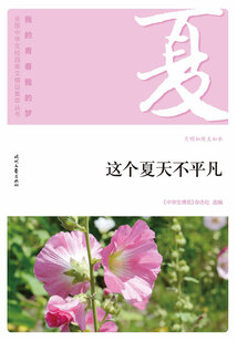 “我的青春我的夢”全國中學(xué)生校園美文精品集萃叢書:這個夏天不平凡