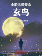 全职法师之玄鸟在线阅读