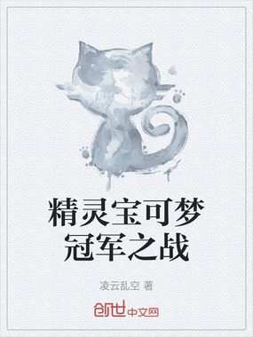 精灵宝可梦冠军之战在线阅读