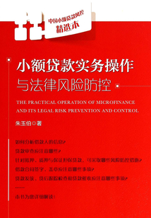 小额贷款实务操作与法律风险防控