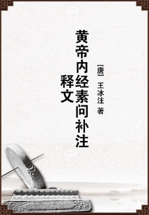 黃帝內經素問補注釋文