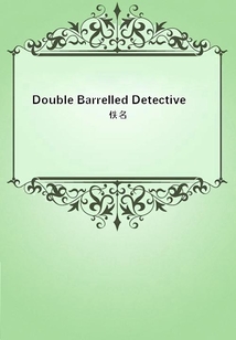 Double Barrelled Detective