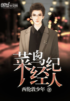 菜鳥經紀人在線閱讀