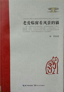 老愛臨窗看風(fēng)景的貓