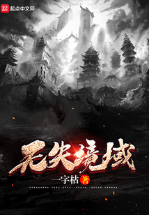 無失境域