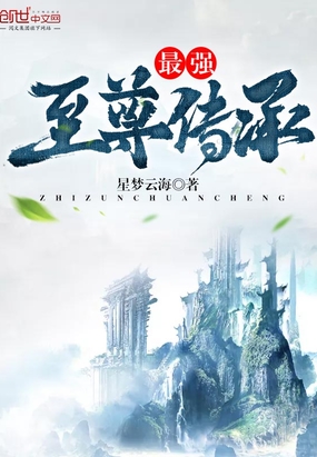 最强至尊传承在线阅读