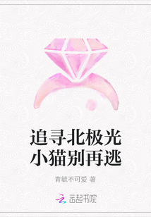 追尋北極光小貓別再逃