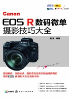 Canon EOS R数码微单摄影技巧大全