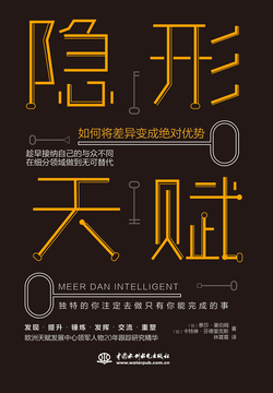 隐形天赋：如何将差异变成绝对优势 封面